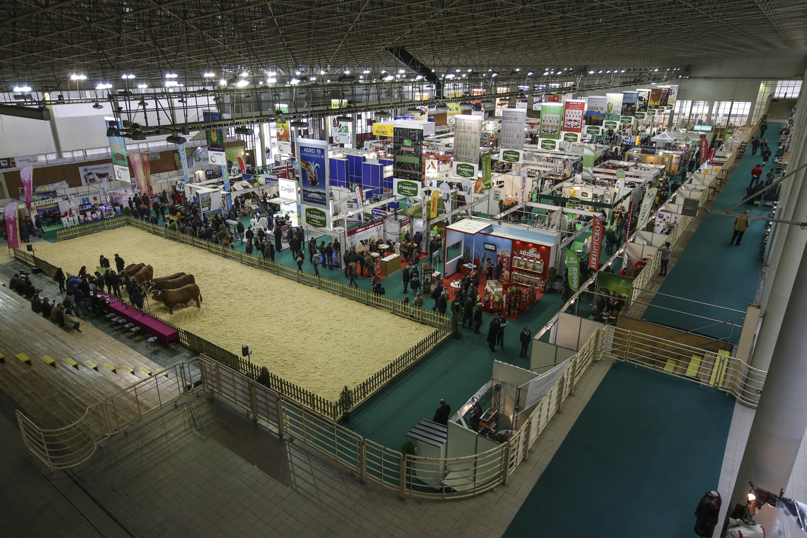 A Feira Internacional de Agricultura, Pecuária e Alimentação (AGRO 2017) atraiu milhares de pessoas ao Parque de Exposições de Braga (PEB)